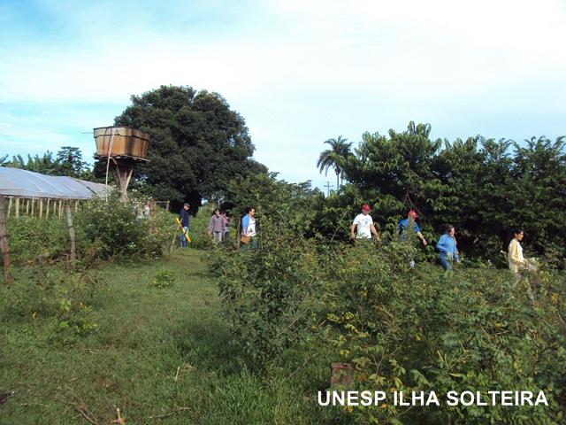 aula_25_marco_2013 (24).JPG